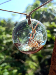 Driftwood with light blue resin, coral and shell