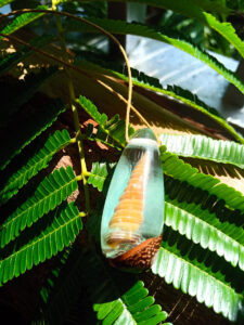 Driftwood with light blue resin and spiral shell