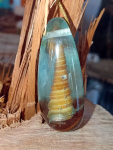 Driftwood with light blue resin and spiral shell