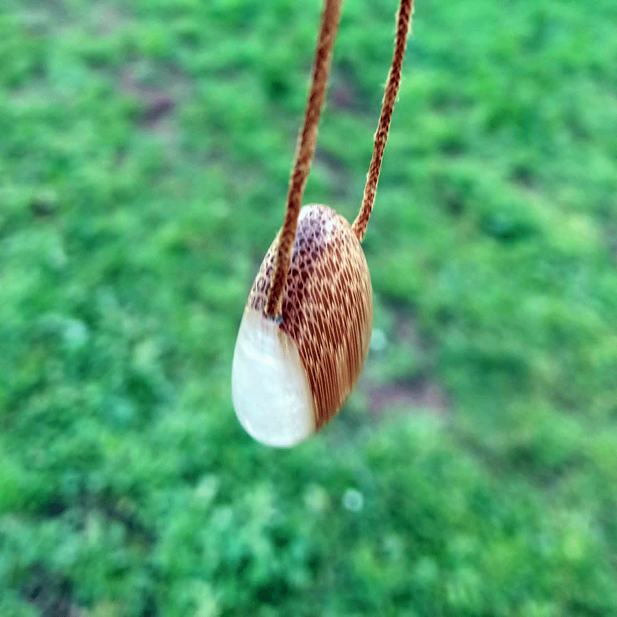 Driftwood with metallic pearl and pink resin