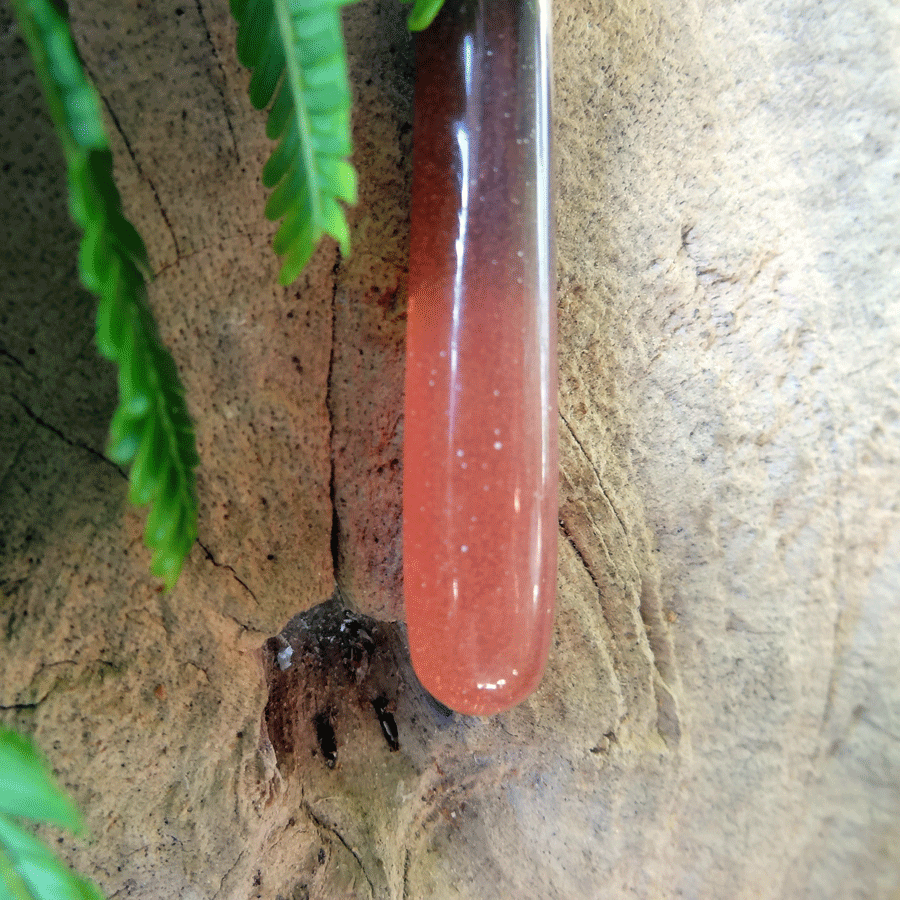 Driftwood with pink resin