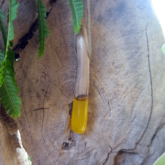 Driftwood with yellow resin