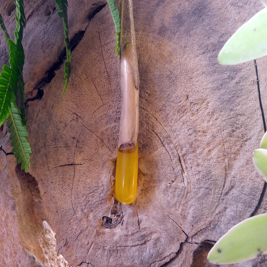 Driftwood with yellow resin