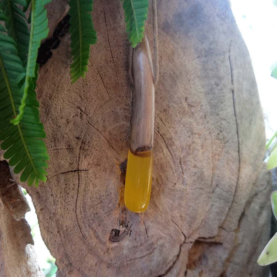 Driftwood with yellow resin