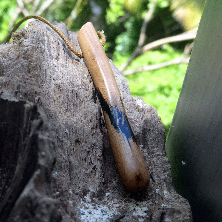 Driftwood with black resin