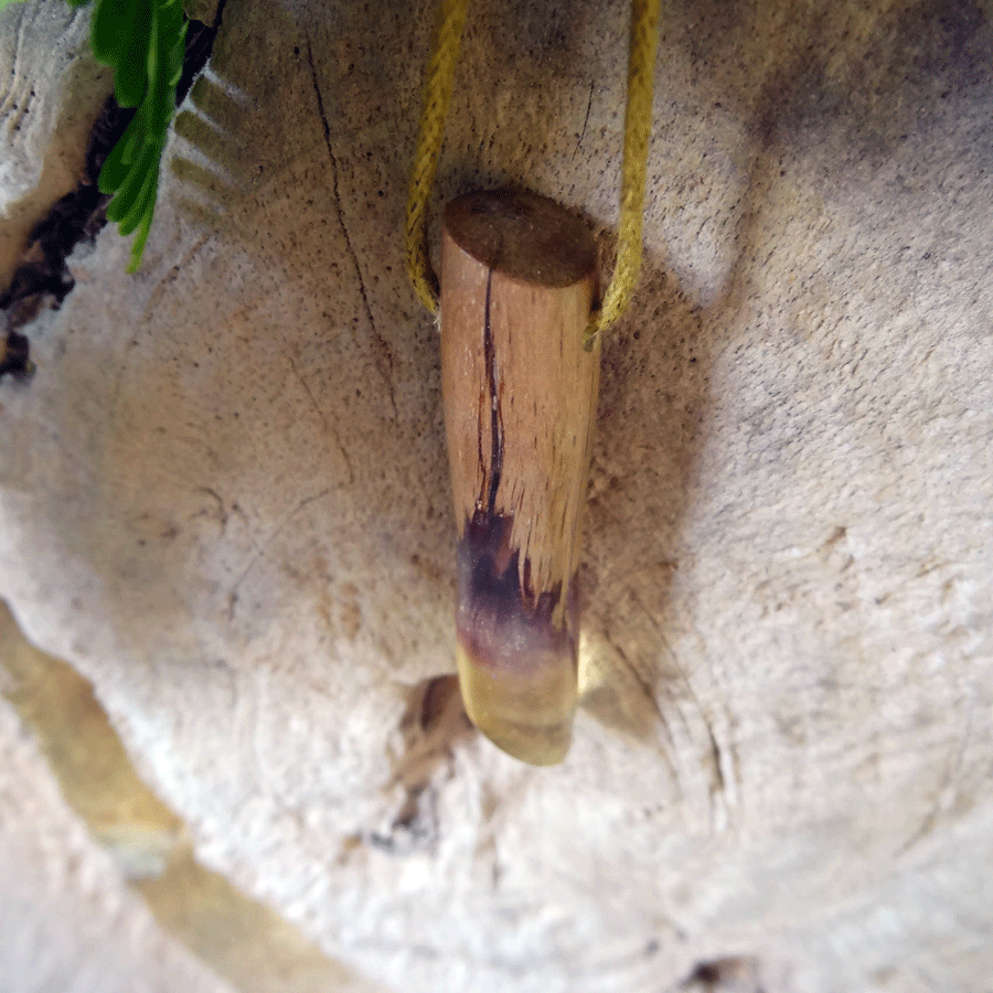 Driftwood with transparent resin