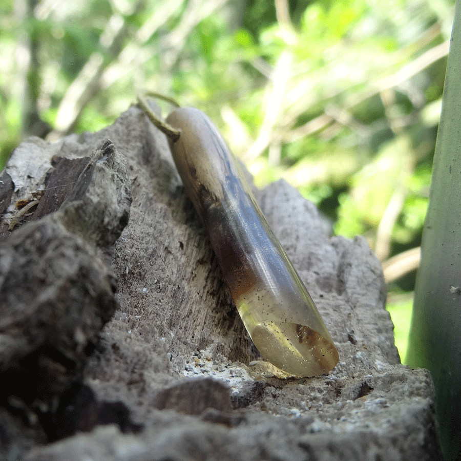 Driftwood with transparent resin