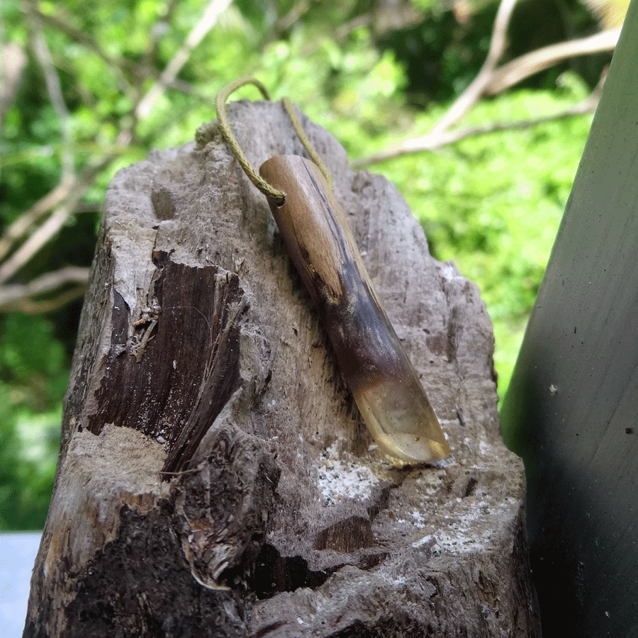 Driftwood with transparent resin