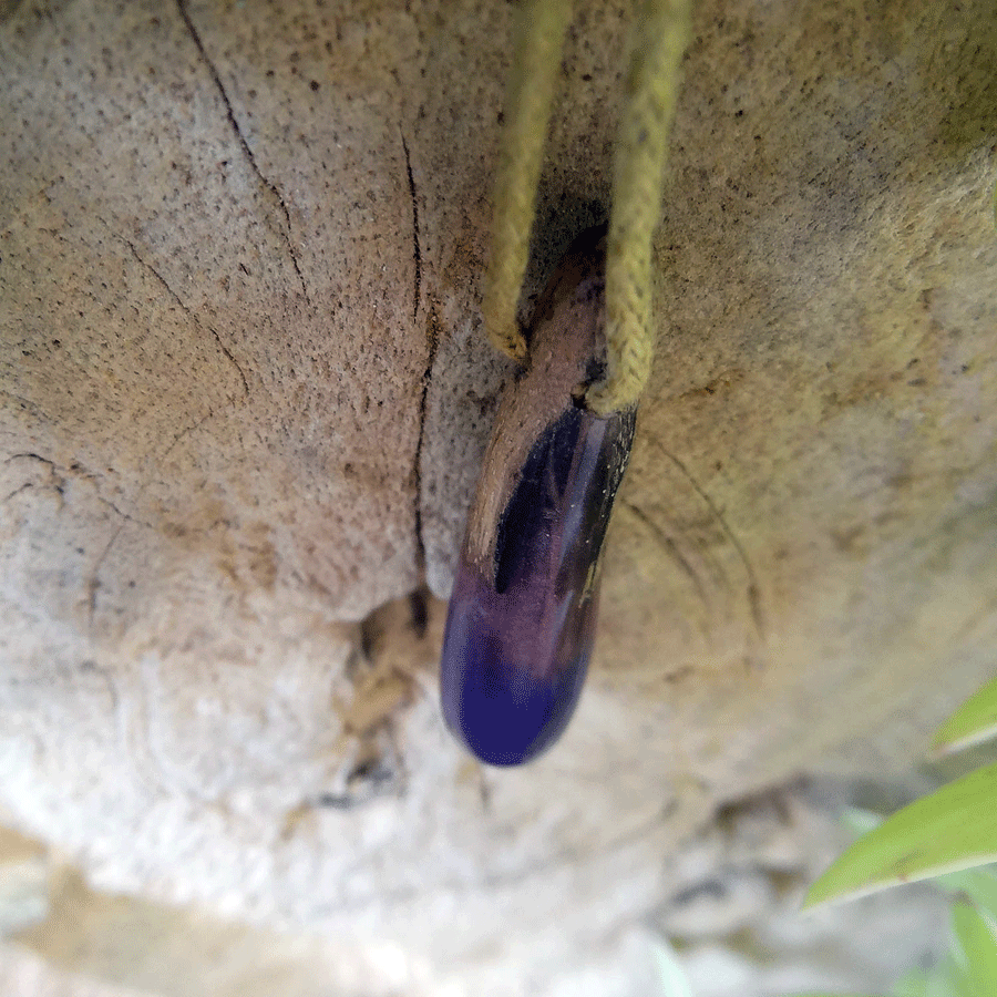 Driftwood with purple resin