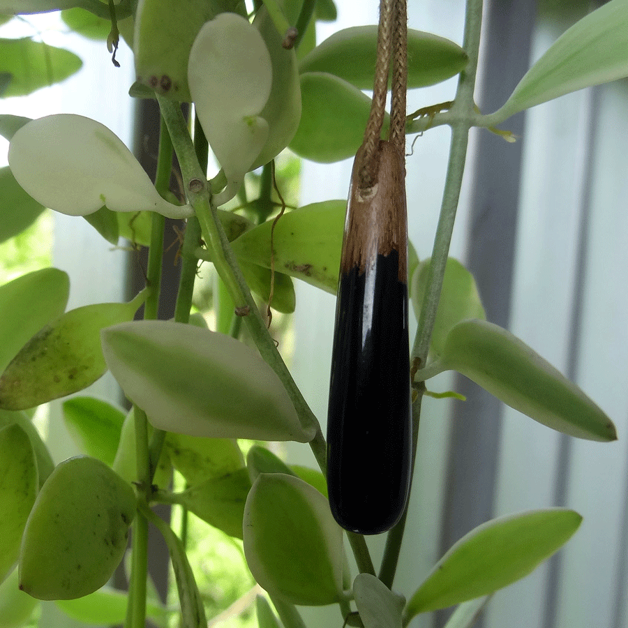 Driftwood with black resin