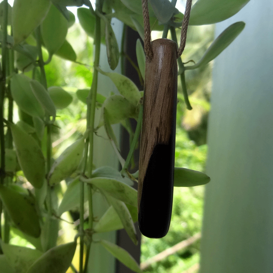 Driftwood with black resin