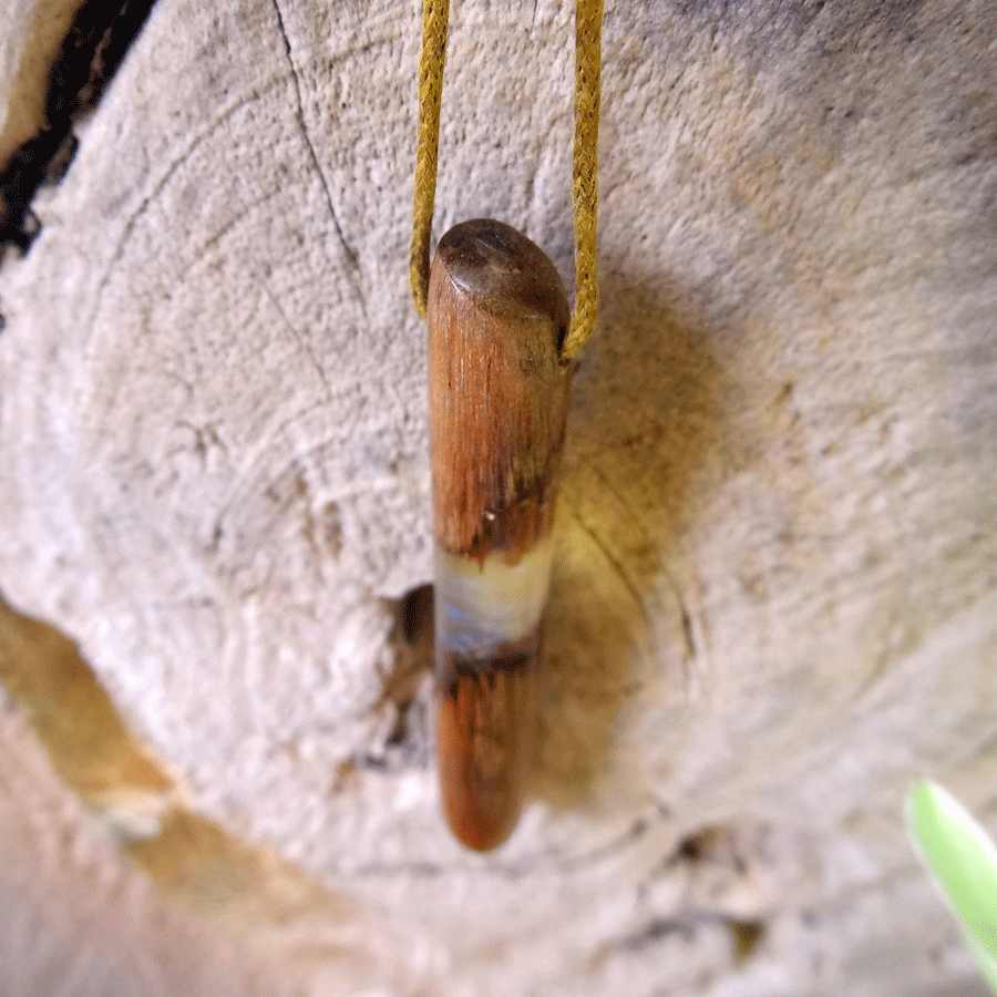 Driftwood with transparent resin