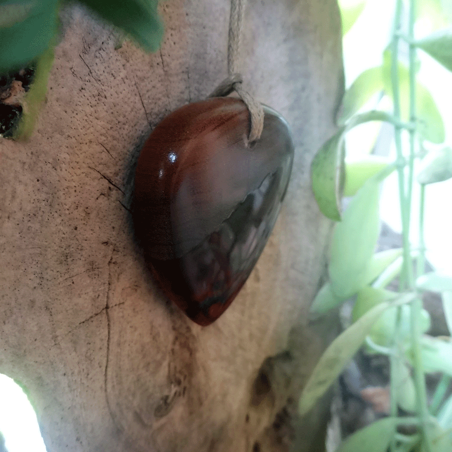 Driftwood with red resin