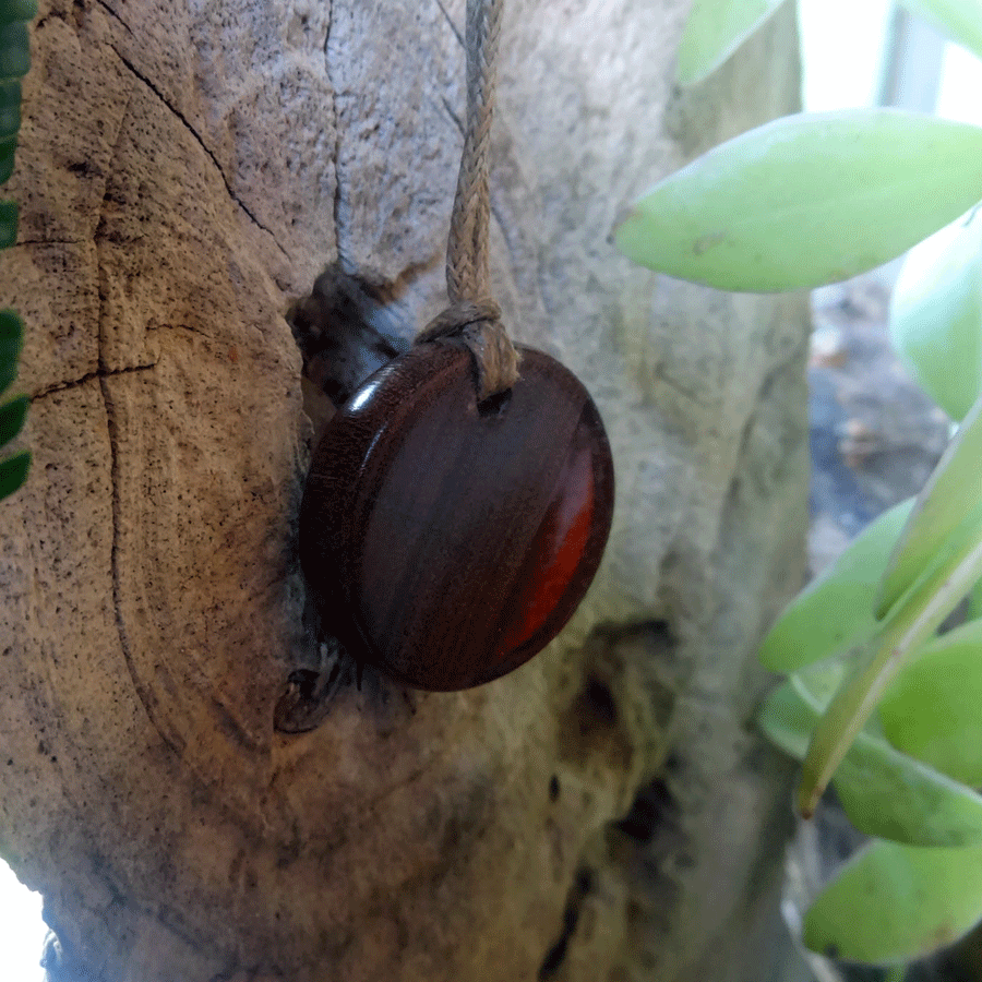 Driftwood with red resin