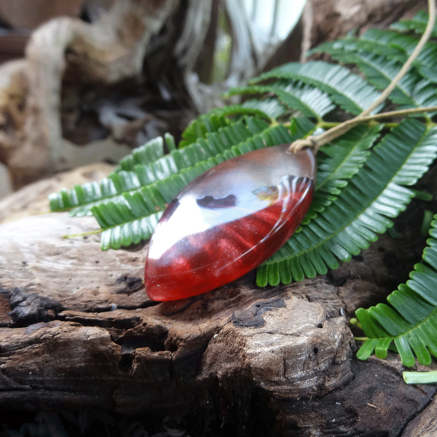 Driftwood with red resin