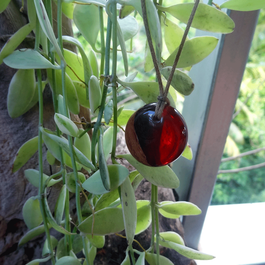 Driftwood with red resin