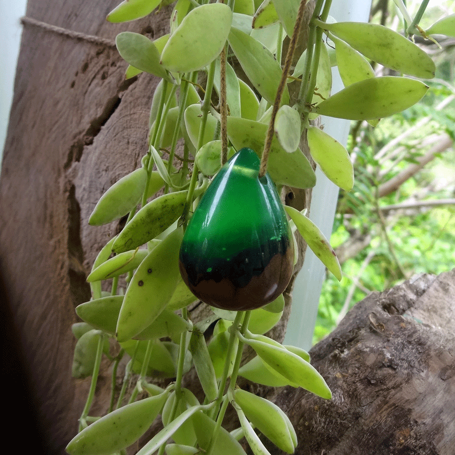 Driftwood with green resin