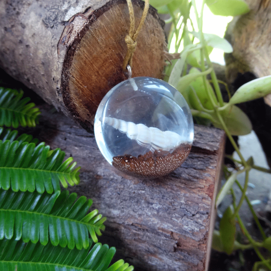 Driftwood with light blue resin and shell