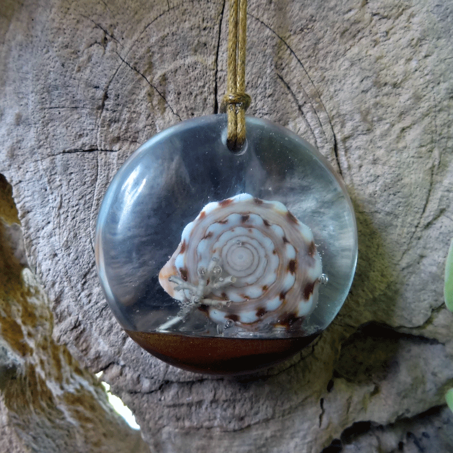 Driftwood with light blue resin and shell