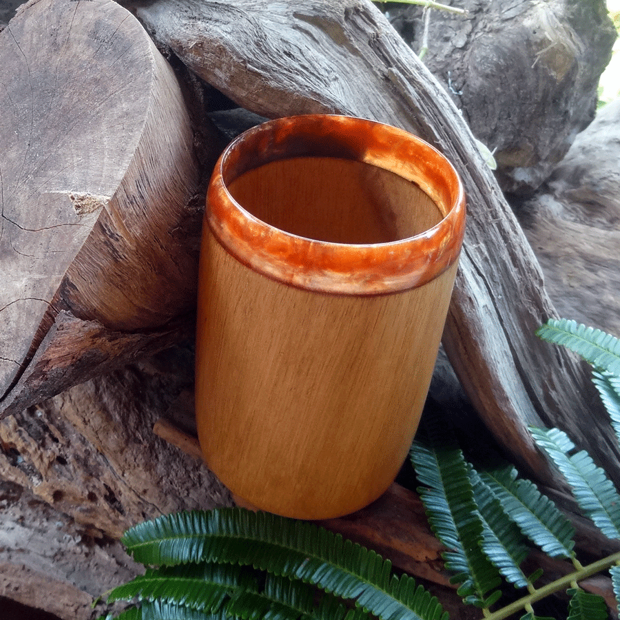 Driftwood and red resin pen holder cup