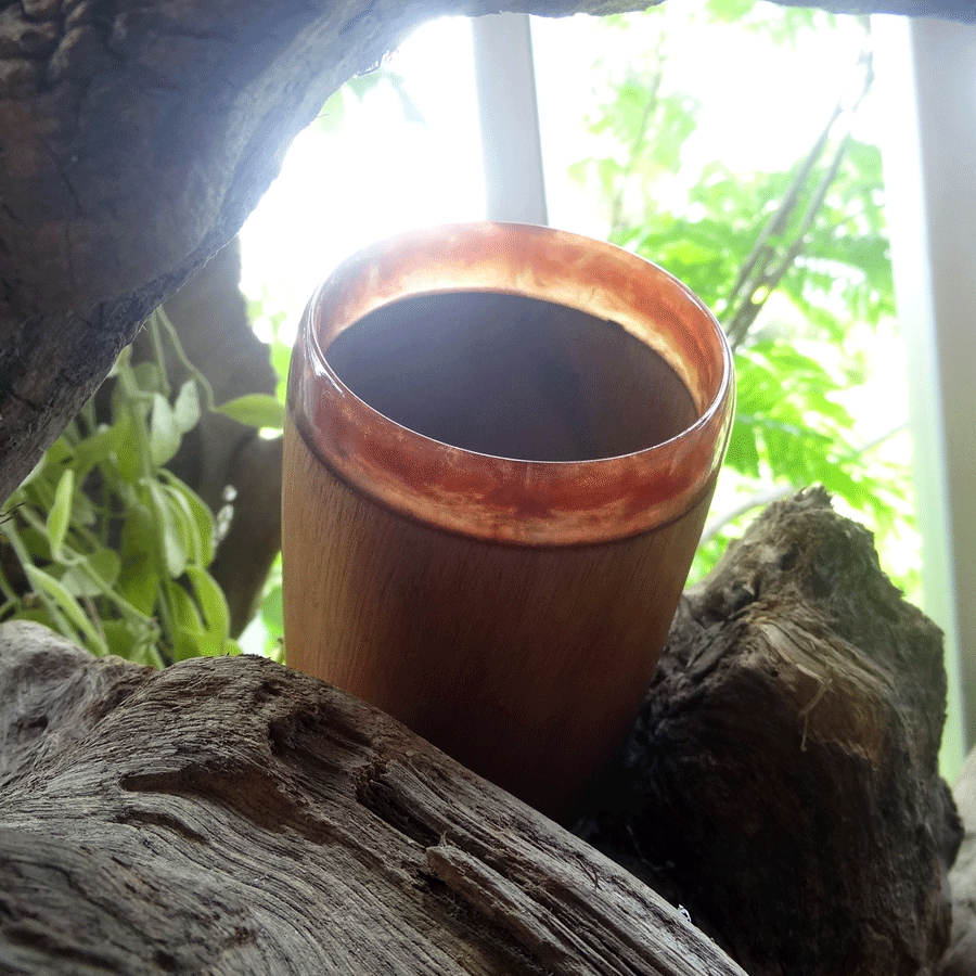 Driftwood and red resin pen holder cup