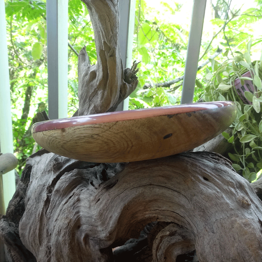 Driftwood and purple resin ornamental flat bowl