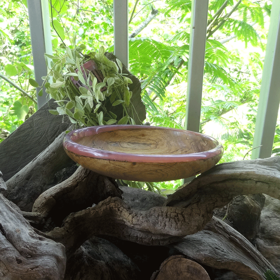 Driftwood and purple resin ornamental flat bowl